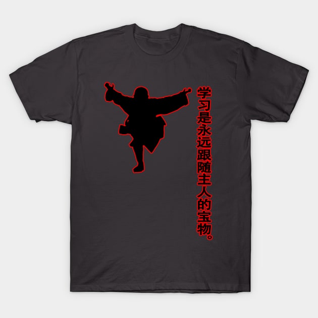 china kung fu T-Shirt by hottehue
